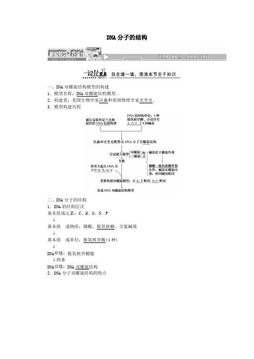 2019高中生物第3章第2节DNA分子的结构教案新人教版必修2