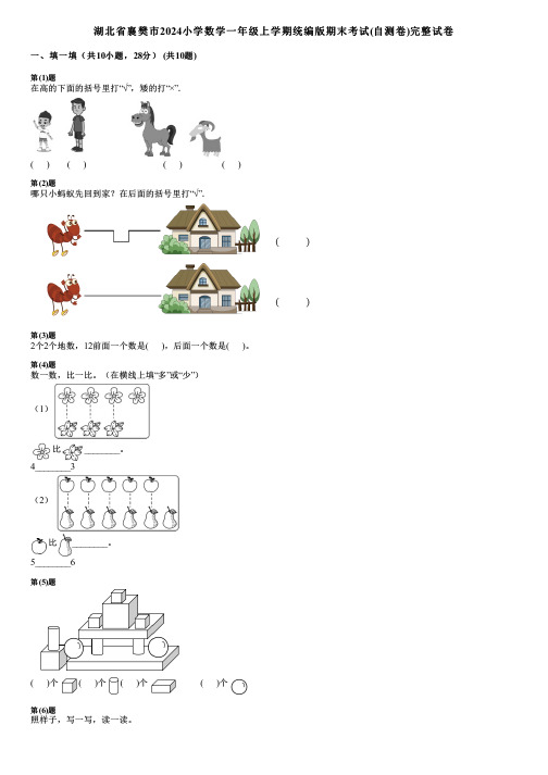 湖北省襄樊市2024小学数学一年级上学期统编版期末考试(自测卷)完整试卷