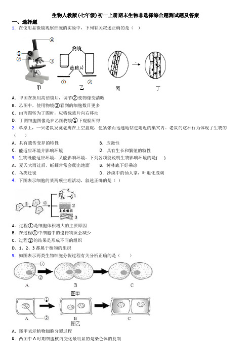 生物人教版(七年级)初一上册期末生物非选择综合题测试题及答案