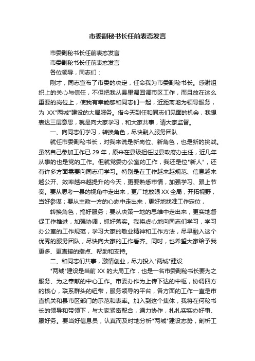 市委副秘书长任前表态发言