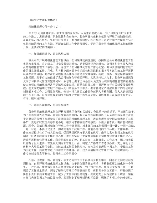 精细化管理实施方案6篇