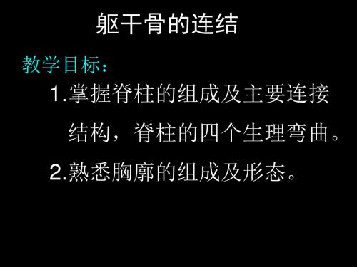 4躯干骨的连接