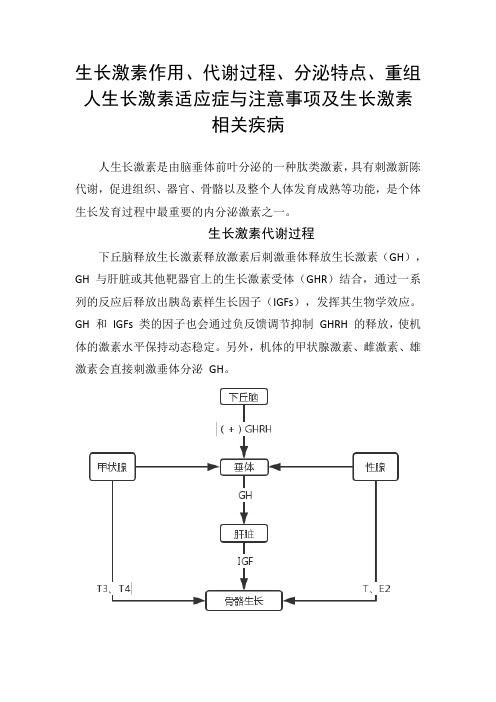 生长激素作用、代谢过程、分泌特点、重组人生长激素适应症与注意事项及生长激素相关疾病