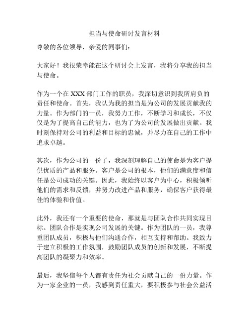 担当与使命研讨发言材料