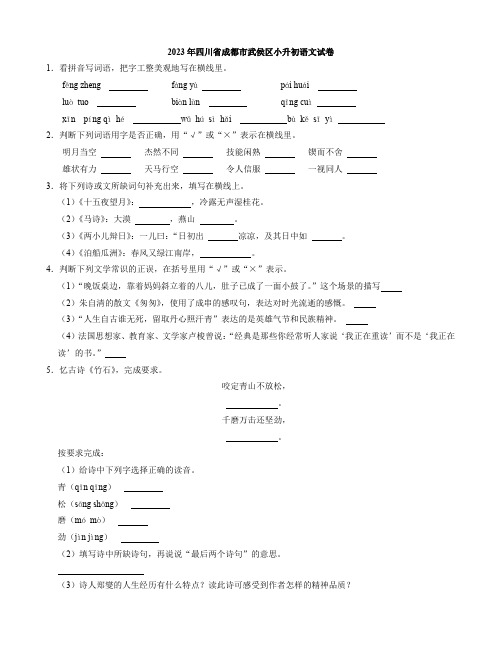 四川省成都市武侯区2022-2023学年六年级下学期期末语文试卷