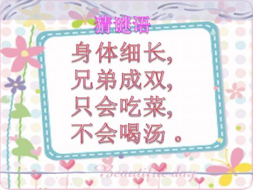 13课--筷子折了课件444444443