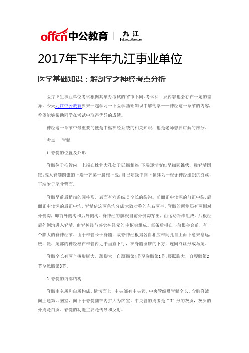 2017年下半年九江事业单位医学基础知识:解剖学之神经考点分析