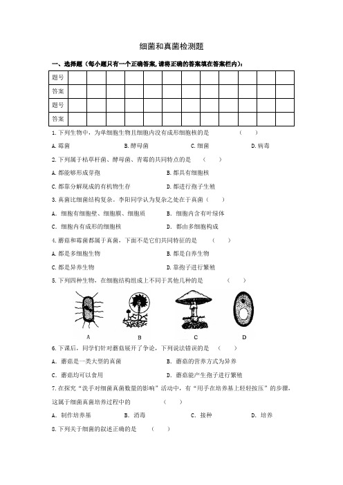 细菌和真菌练习题及答案