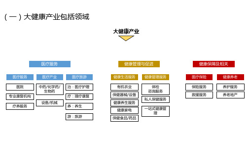 大健康相关产业链