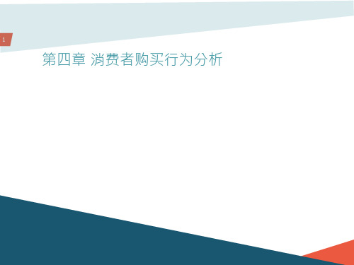 消费者市场和消费者购买行为分析报告