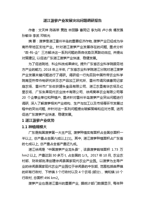 湛江菠萝产业发展突出问题调研报告