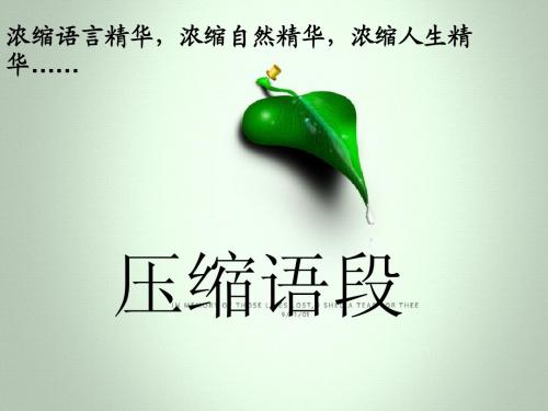 其他类型的压缩语段