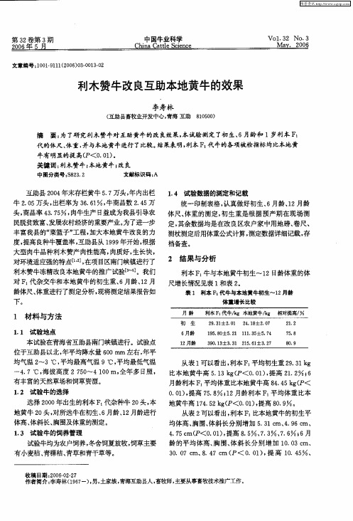 利木赞牛改良互助本地黄牛的效果