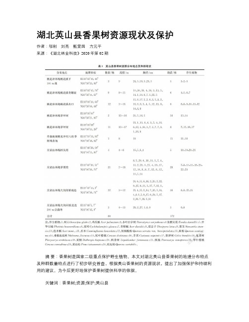 湖北英山县香果树资源现状及保护