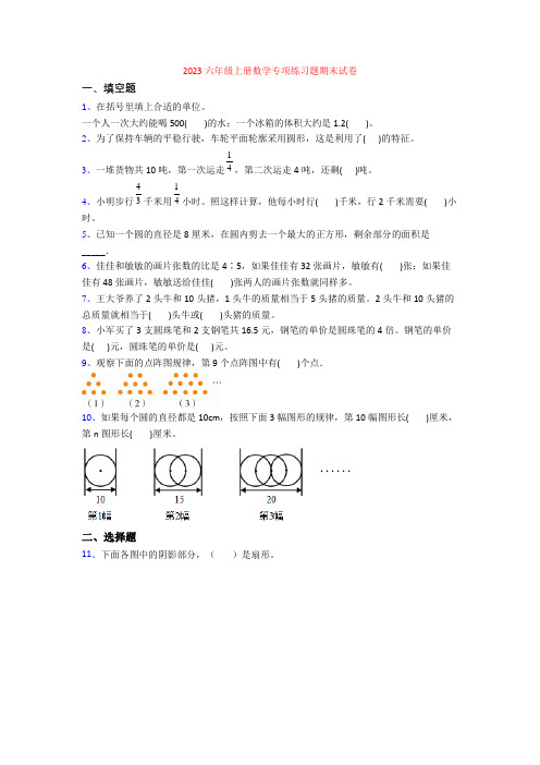 2023六年级上册数学专项练习题期末试卷