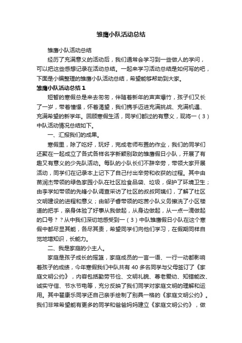 雏鹰小队活动总结