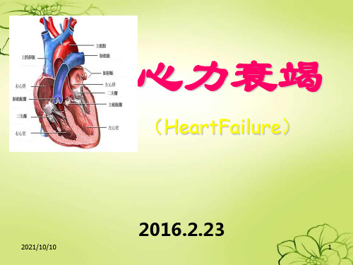 心力衰竭护理查房_