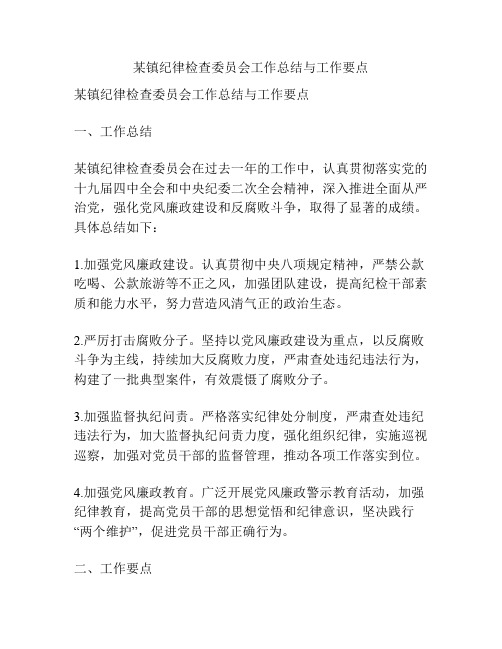 某镇纪律检查委员会工作总结与工作要点