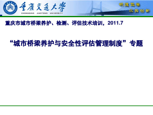 “城市桥梁养护与安全性评估管理制度”专题