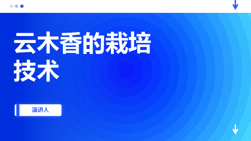 云木香的栽培技术