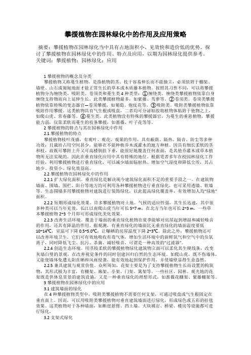 攀援植物在园林绿化中的作用及应用策略