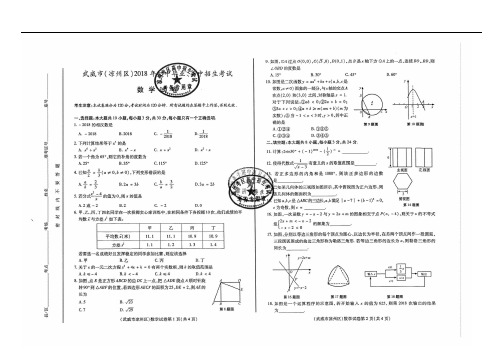 2018年甘肃省武威市中考数学试题(含答案)