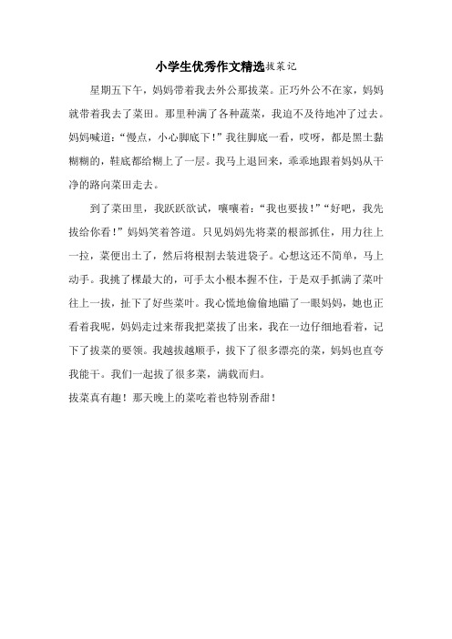 小学生优秀作文精选拔菜记
