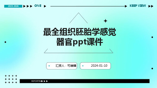 最全组织胚胎学感觉器官PPT课件