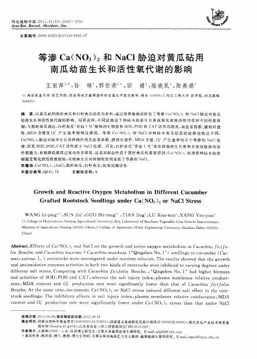 等渗Ca(NO3)2和NaCl胁迫对黄瓜砧用南瓜幼苗生长和活性氧代谢的影响