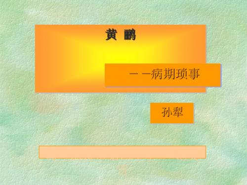 《黄鹂》全面版