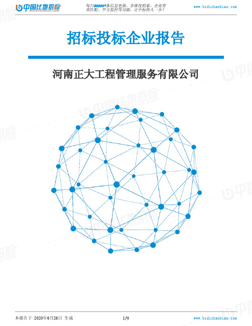 河南正大工程管理服务有限公司-招投标数据分析报告