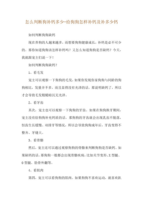 怎么判断狗补钙多少-给狗狗怎样补钙及补多少钙