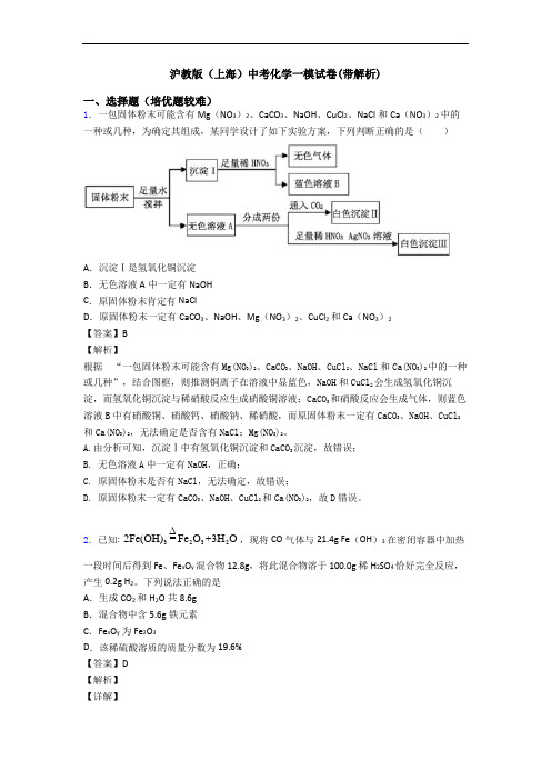 沪教版(上海)中考化学一模试卷(带解析)