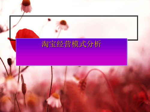 关于淘宝经营模式分析(ppt 31页)