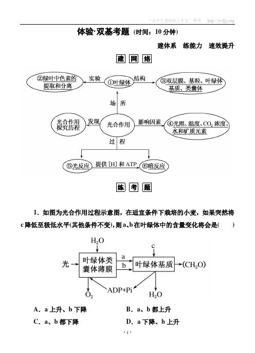 【名师一号】2015届高考生物(人教版通用)总复习体验双基考题：第11讲 能量之源——光与光合作用