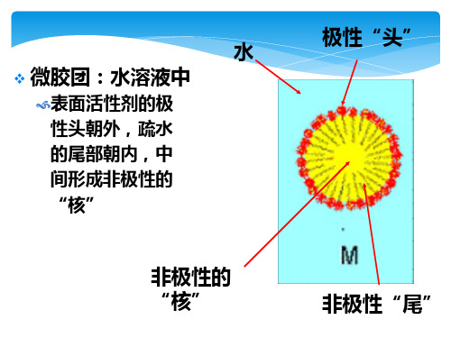 第八章_反胶团萃取