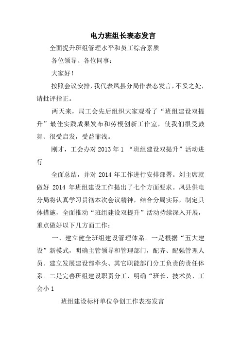 电力班组长表态发言教学提纲