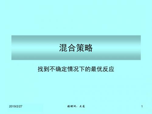 混合策略课件(PPT 35张)