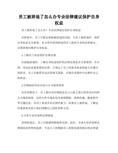 员工被辞退了怎么办专业法律建议保护自身权益