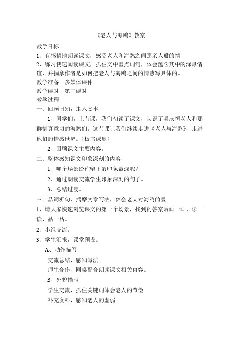 《老人与海鸥》教案