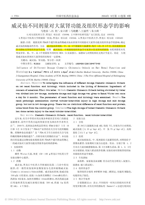 17.马艳春;威灵仙不同剂量对大鼠肾功能及组织形态学的影响;2004