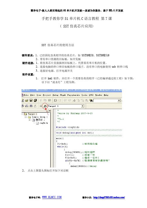 SST仿真芯片应用