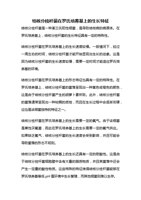 结核分枝杆菌在罗氏培养基上的生长特征