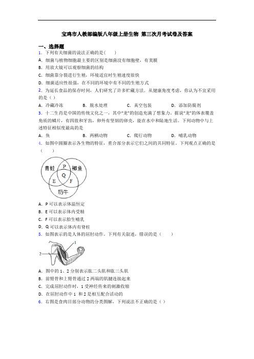 宝鸡市人教部编版八年级上册生物 第三次月考试卷及答案