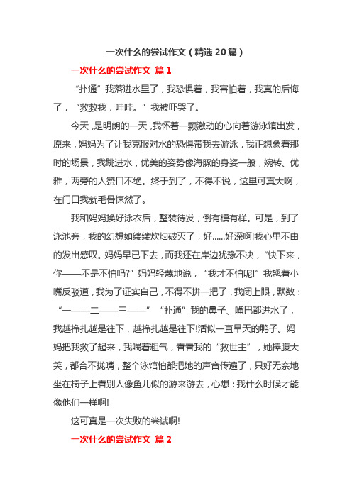 一次什么的尝试作文(精选20篇)