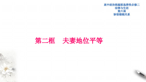 夫妻地位平等高中政治统编版2019选修二