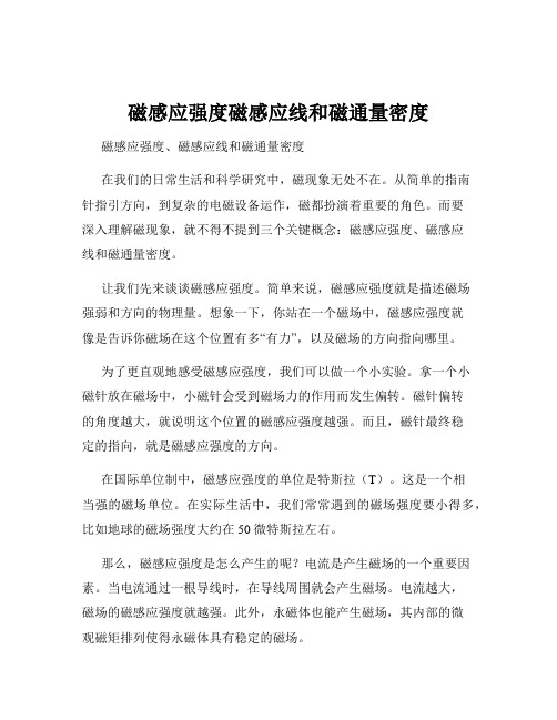 磁感应强度磁感应线和磁通量密度