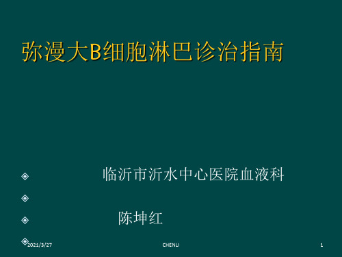 中国弥漫大B细胞淋巴瘤诊疗指南