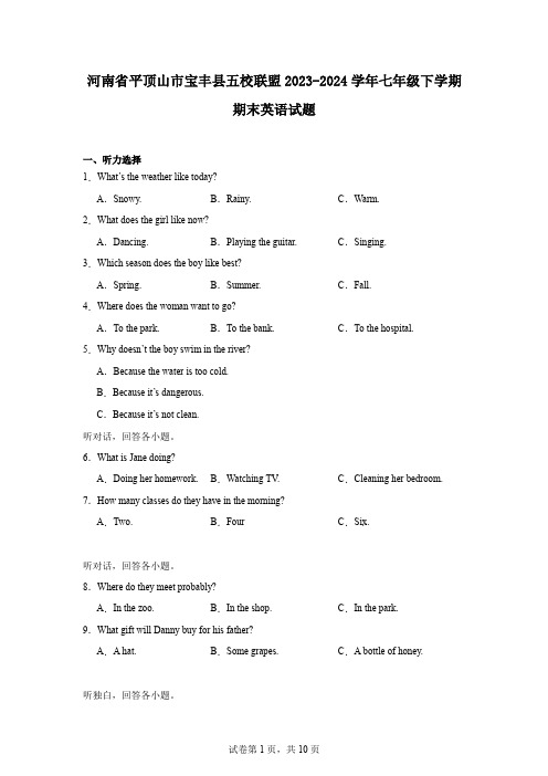 河南省平顶山市宝丰县五校联盟2023-2024学年七年级下学期期末英语试题