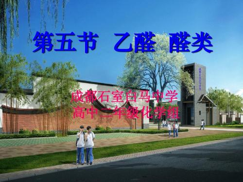 第五节 乙醛 醛类